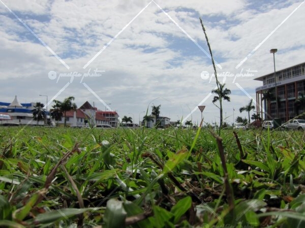 Apia town