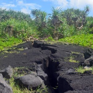 Coastal Walk | O Le Pupu Pu'e National Park Samoa