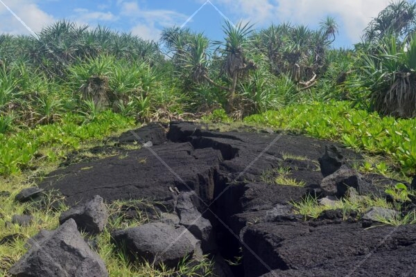 Coastal Walk | O Le Pupu Pu'e National Park Samoa